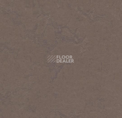Кварцвиниловые полы Forbo Marmoleum Click 333568-633568 delta lace фото 1 | FLOORDEALER